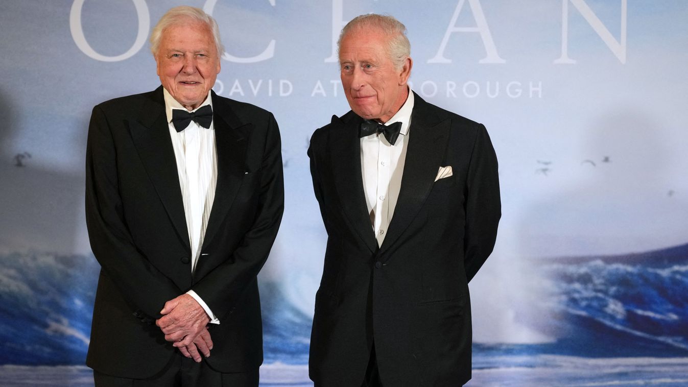David Attenborough: a Földön a legfontosabb hely nem a szárazföld, hanem a tenger