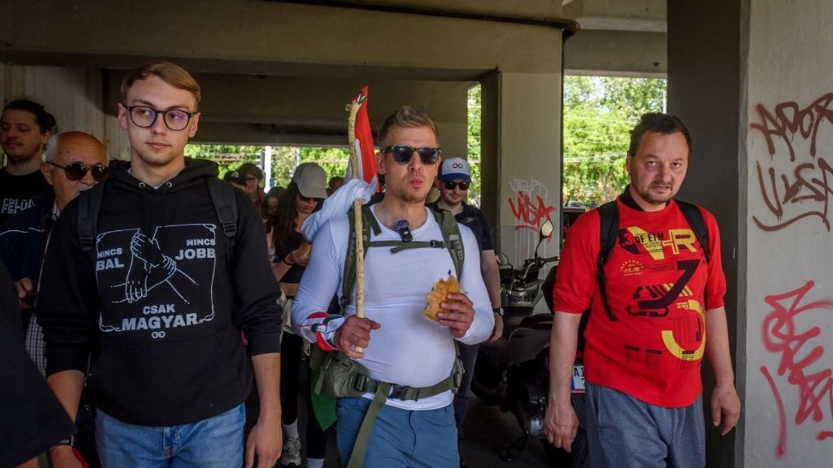 Magyar Péter beleszállt az erdélyi magyarság pártjába: szerinte az RMDSZ egy kémpárt