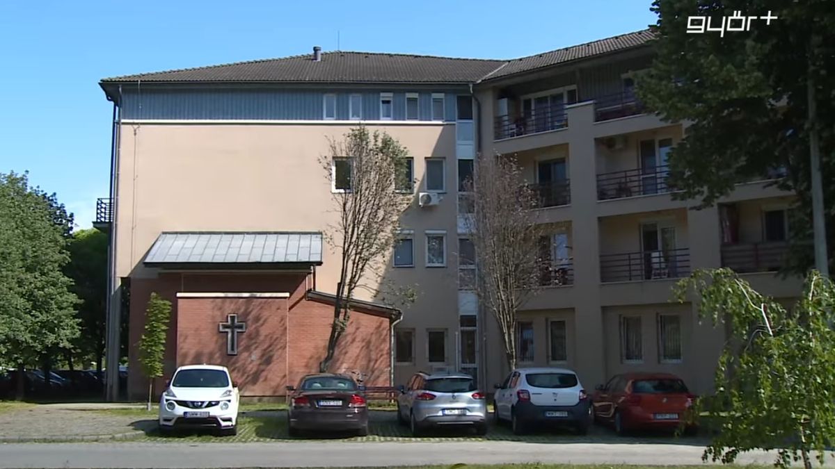 A Kiserdő nagy sztorija: nagy szükség lenne a fejlesztésre, de a baloldali polgármester pár fát választott