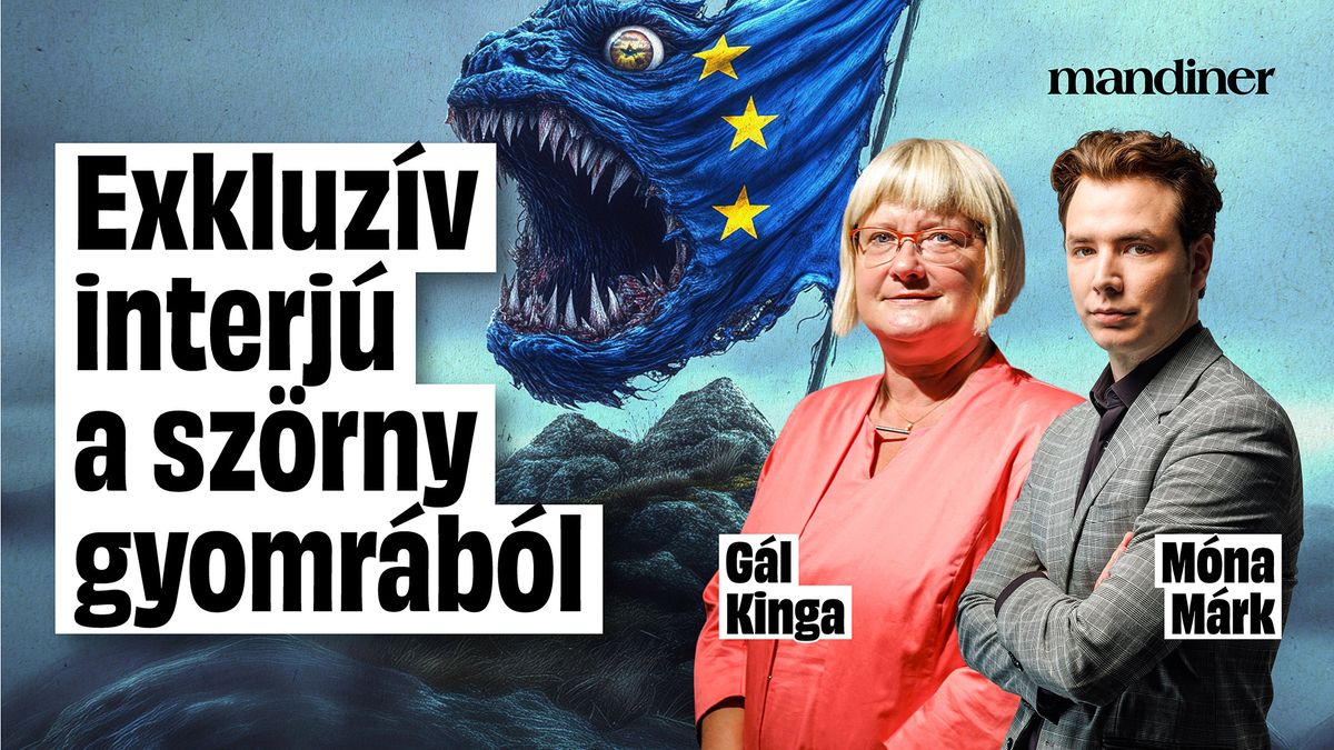 Brüsszeli képmutatás : „Manfred Weberék átverik a választóikat” – Így küzdenek a Patrióták (VIDEÓ)