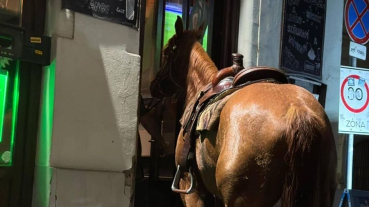 Vadnyugat Kecskeméten: egy férfi lóval tért be a helyi kocsmába, a sheriff helyett azonban rendőrök érkeztek a helyszínre