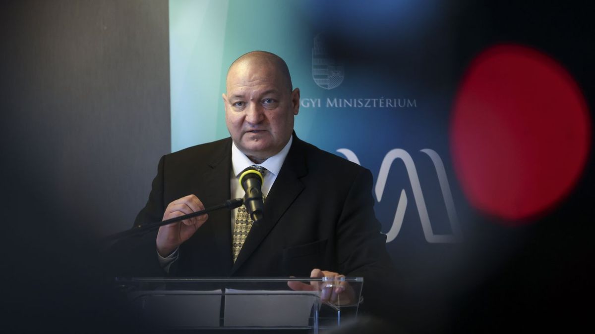 Németh Szilárd: Az ukrán energiafenyegetés a magyaroknak négyszeres gázárat és dupla áramárat jelentene
