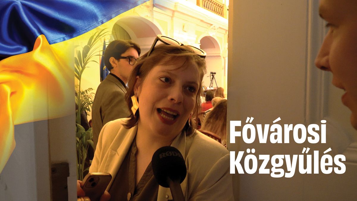 „Keressen új munkát!” – így FENYEGETŐZNEK a tiszások, ha Ukrajna EU-s csatlakozásáról kérdezzük őket (VIDEÓ)