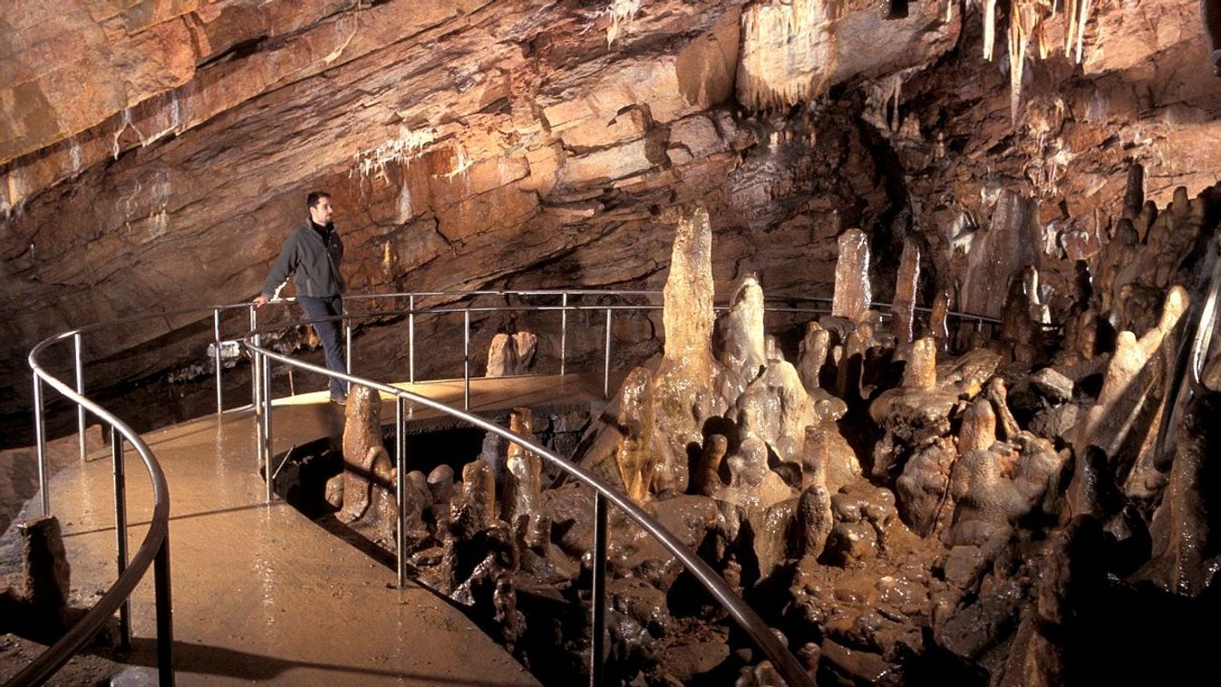 Negyvenéves az Aggteleki Nemzeti Park