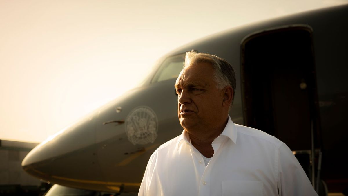 Óriási blamázs: szinte a teljes balos értelmiség lejáratta magát, Orbán hátradőlhet