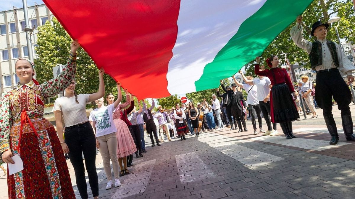 „A nemzeti összetartozás és összefogás kérdése minden időben aktuális” – Határtalanul a Magyar Fiatalokért Egyesület elnöke a Mandinernek