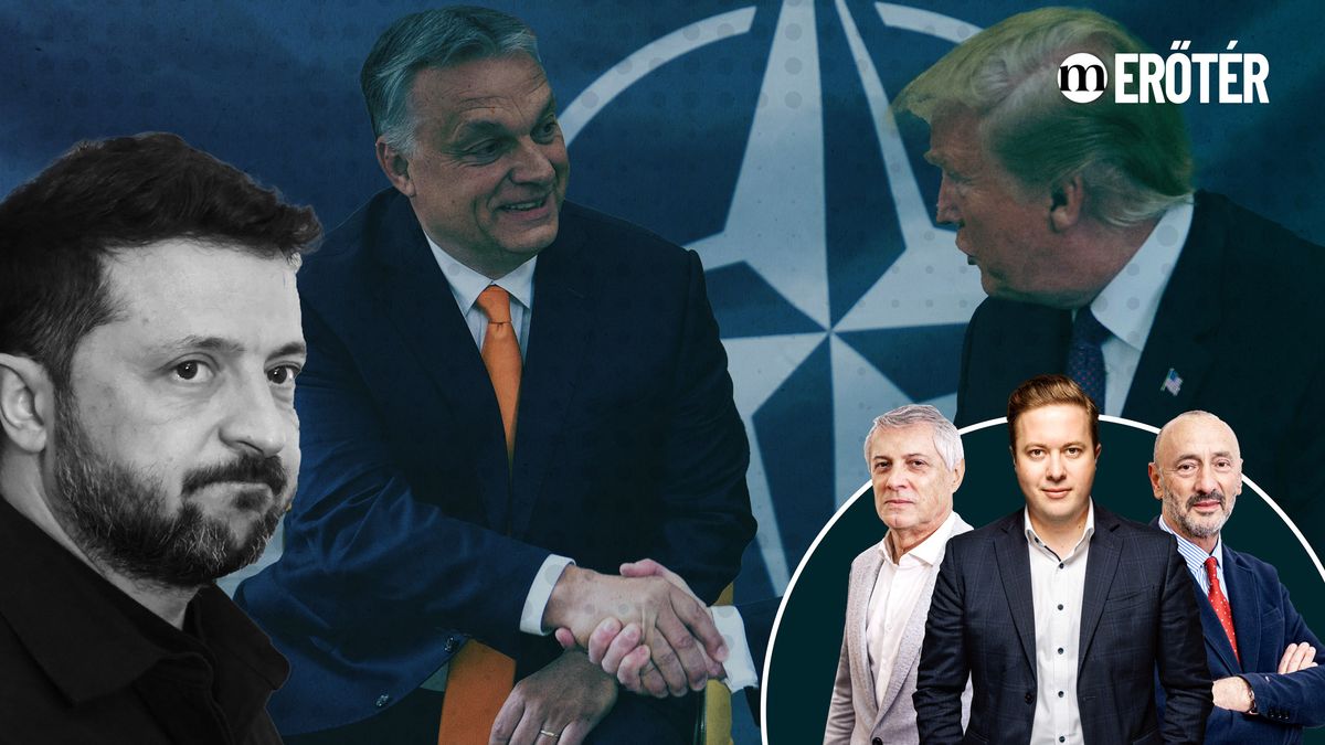 NATO-csúcs: Trump jött, Zelenszkij ment – Erőtér Földi Lászlóval és Horváth Józseffel