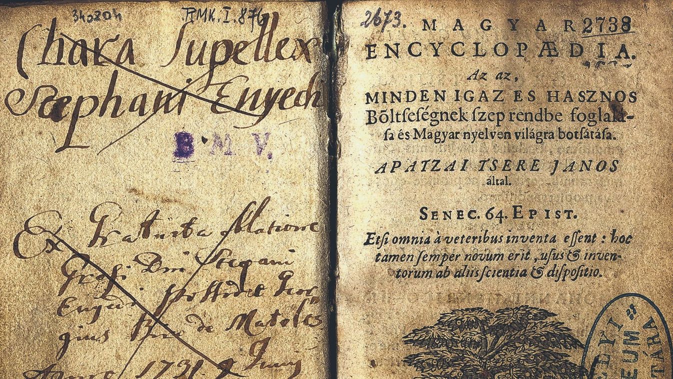 Récék a gyümölcsökből