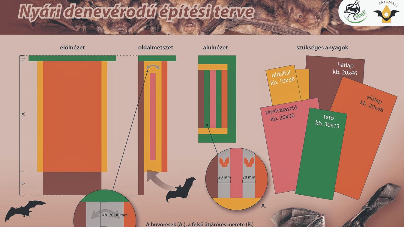 Denevérodúkat cserélnek