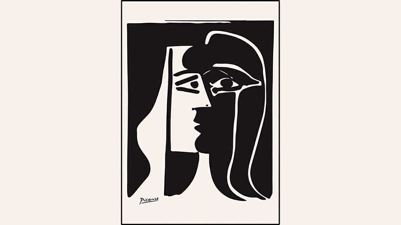 Picasso