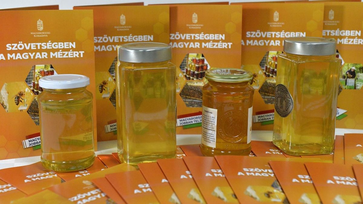 Nem lesz több „magyar arany”? Tragikus körülmények sújtják a méhészeket