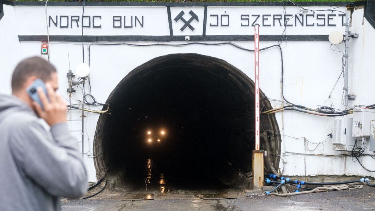Összefognak a zenészek Parajdért: Könnyek a vízben címmel szerveznek jótékonysági koncertet