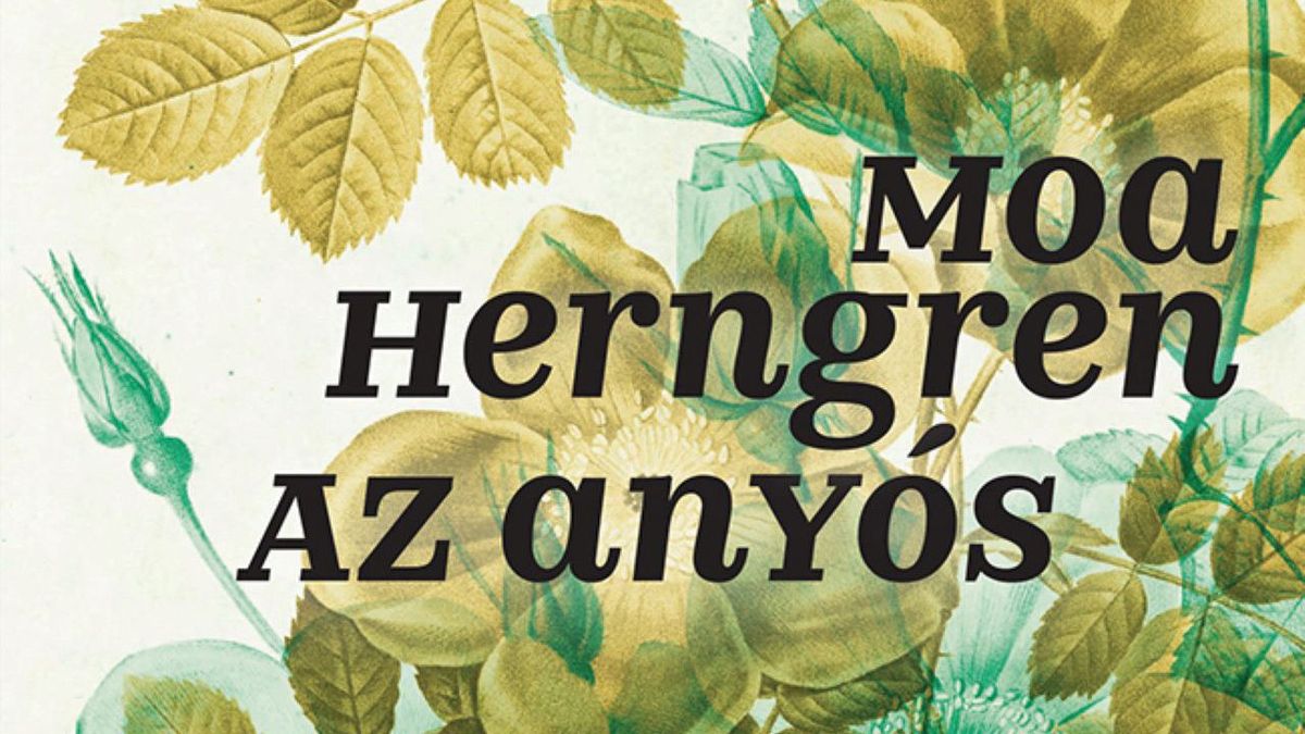 Az anyós nem vicc?
