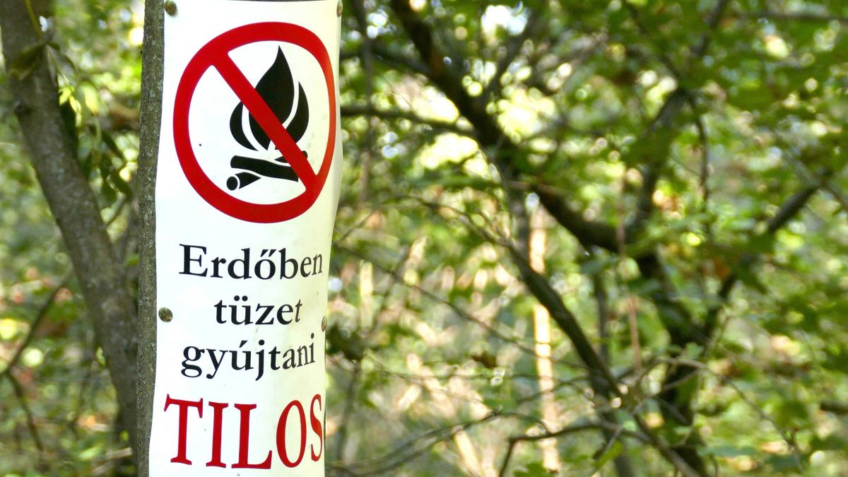 Szerdától tilalom lép életbe: lépnie kellett a Nébih-nek a tomboló kánikula miatt