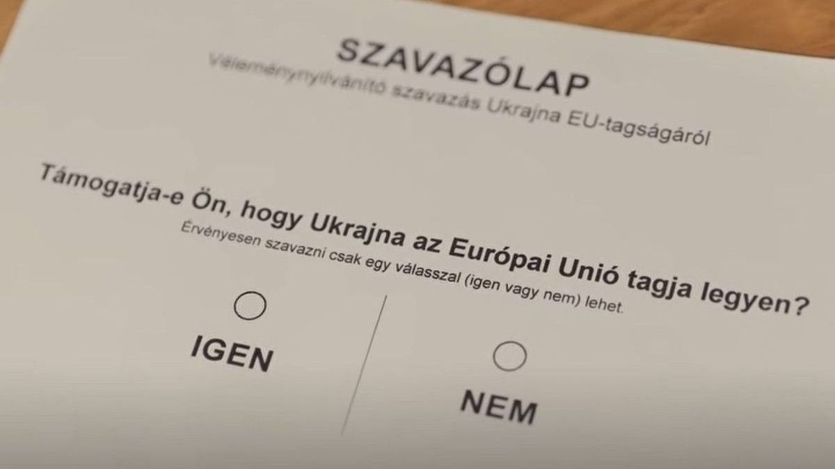 Rekordszámú válasz érkezett – ezek a megyék vitték a prímet a Voks2025-ön! (VIDEÓ)