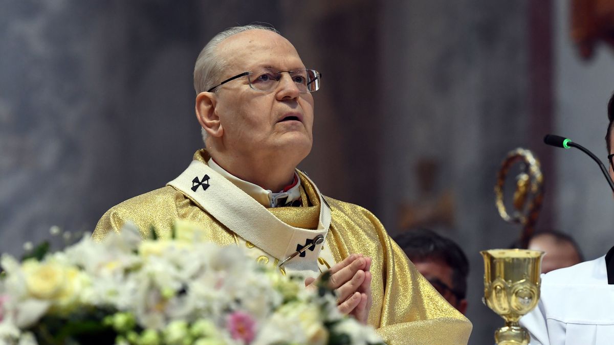 Erdő Péter elárulta a feltételeket: ez kell ahhoz, hogy XIV. Leó pápa Magyarországra látogasson