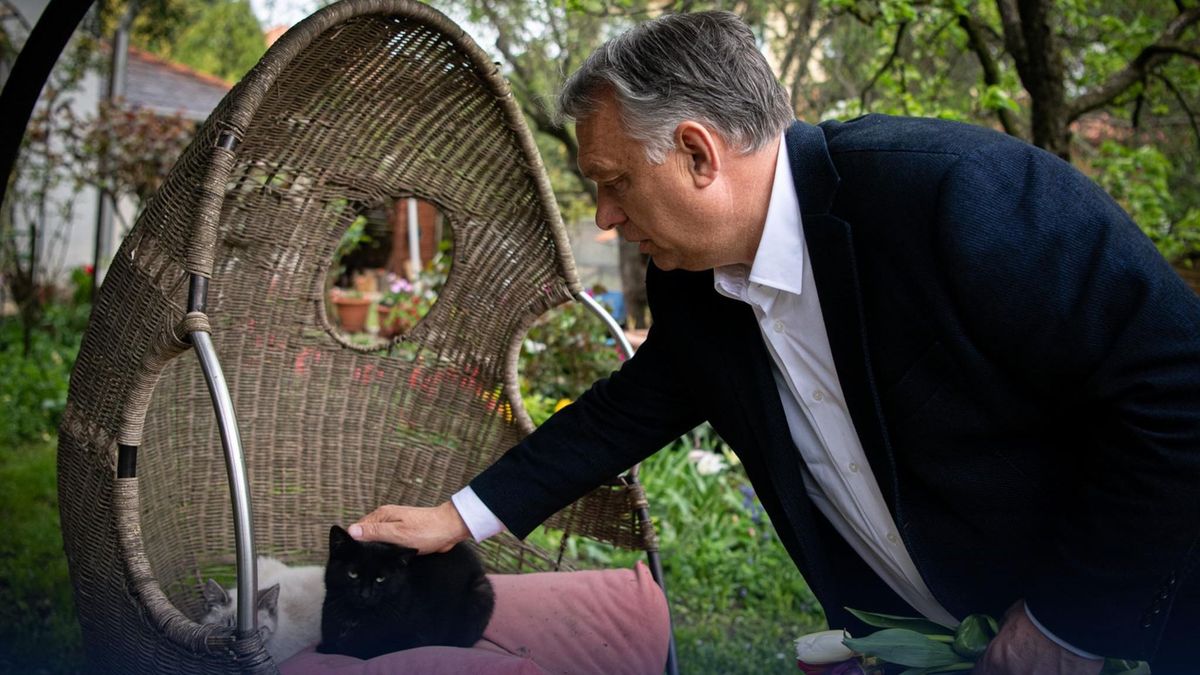 Orbán Viktor egyértelmű üzenetet küldött: szigorodott a törvény, már börtön is kiszabható