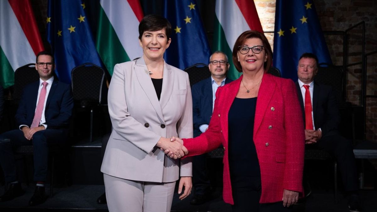 Gy. Németh Erzsébet: „Mi van itt? A Tisza szétveri szeretett városomat!”
