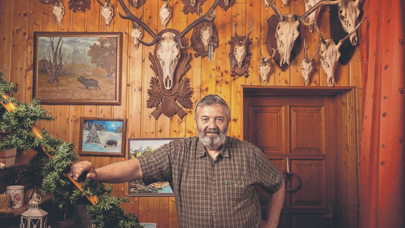 Vadász író a varázserdőből