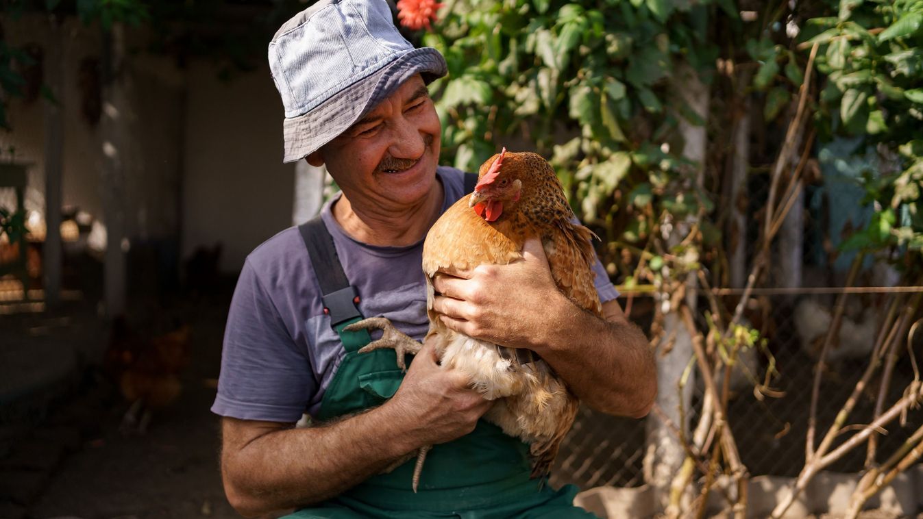 Új pályázati felhívással segíti az agrártárca a tanyán élőket