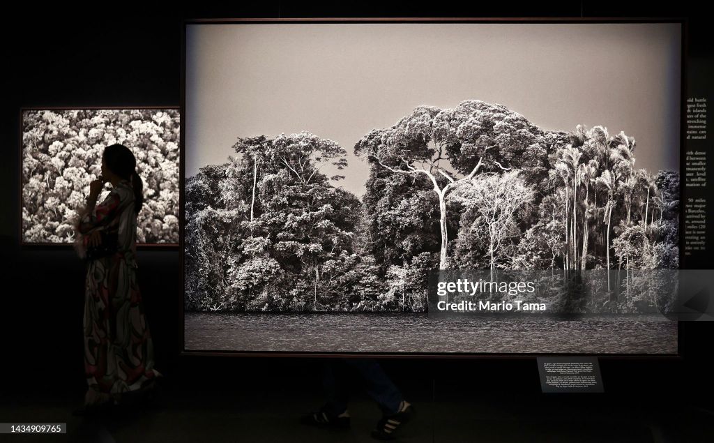 LOS ANGELES, CALIFORNIA - OCTOBER 19: Photographs of the Amazon are displayed at a preview of Brazilian documentary photographer Sebasti?o Salgado's exhibit Amaz?nia at the California Science Center on October 19, 2022 in Los Angeles, California. The 13,0