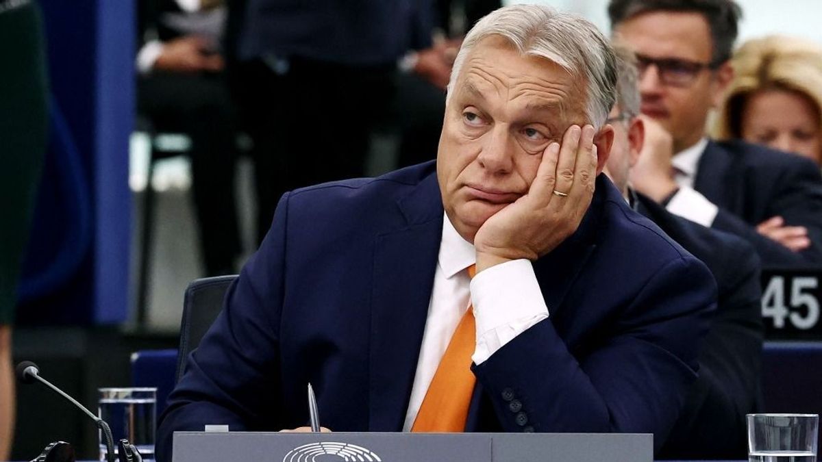 Magyarország Európa-bajnok, és ez nagyon sokaknak szúrja a szemét