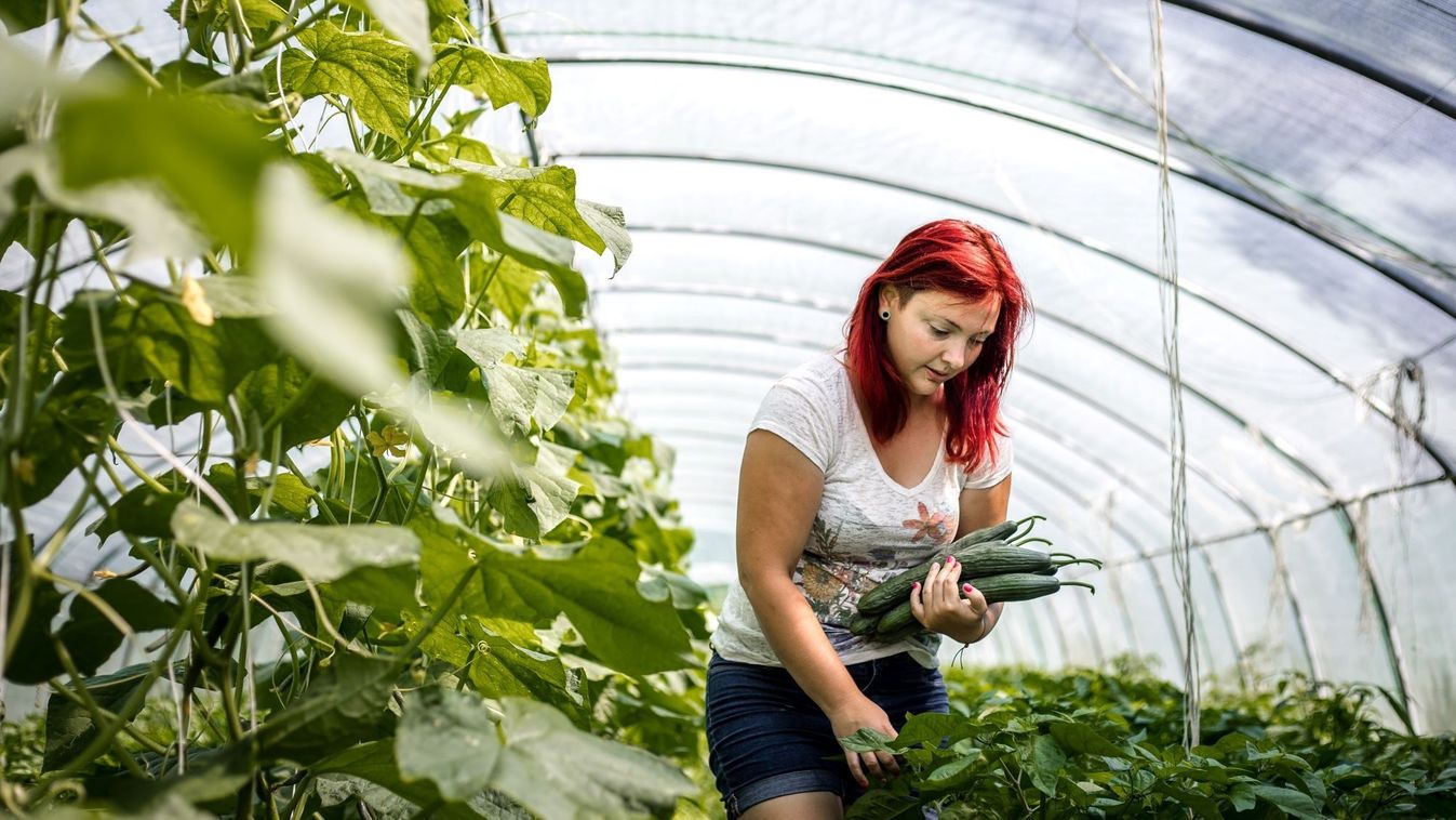 35 éve nem látott fejlesztési forrás áramlik a magyar agráriumba!