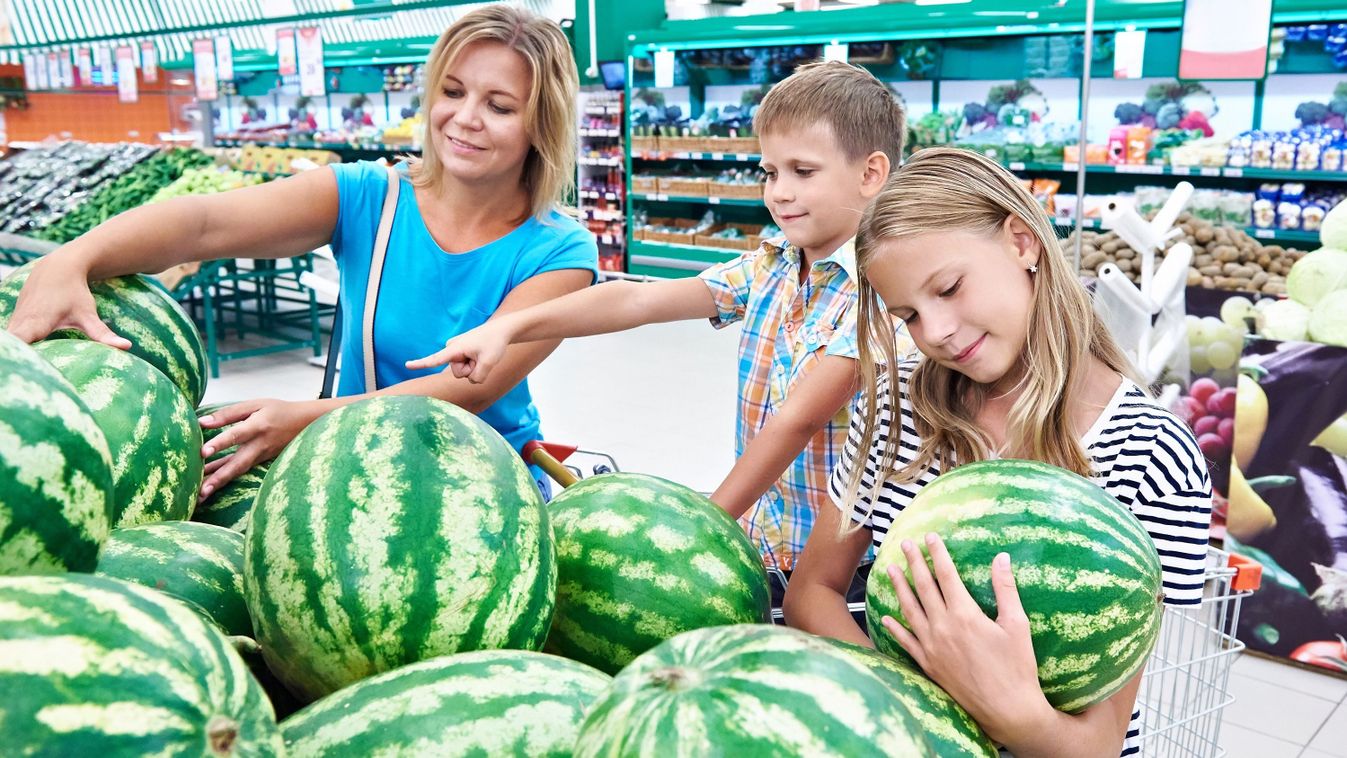 Indul a nyári szezonális ellenőrzés