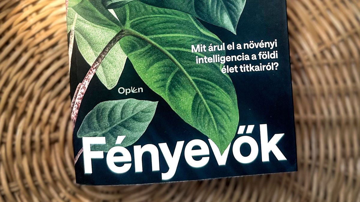 Egy intelligencia, amiről nem veszünk tudomást