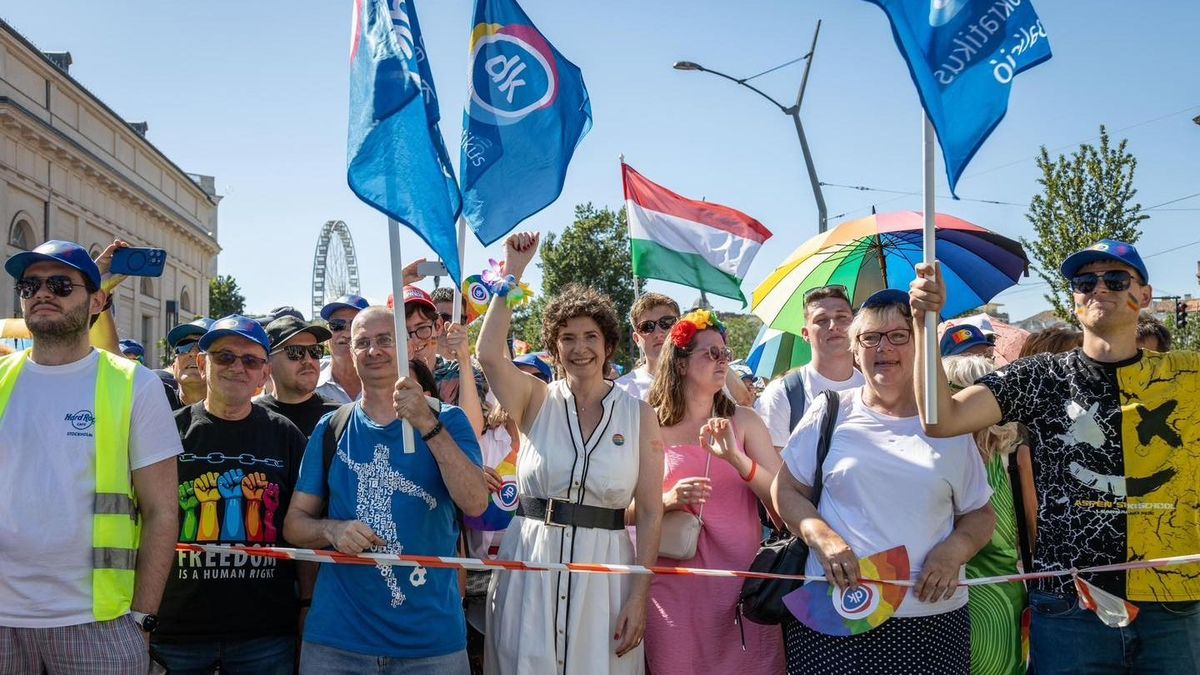 A műmájereskedő Dobrev megpróbálja leplezni a DK katasztrofális válságát