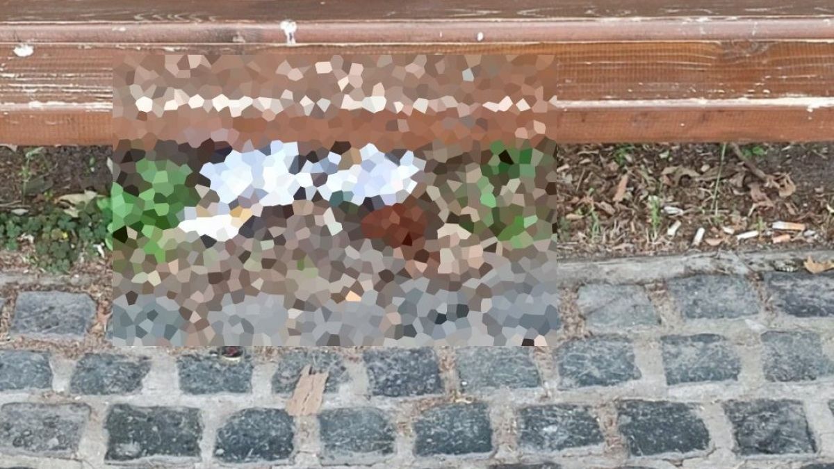 Felháborodást keltett Esztergom új „f*sófantomja” – nyilvánosan végezte dolgát