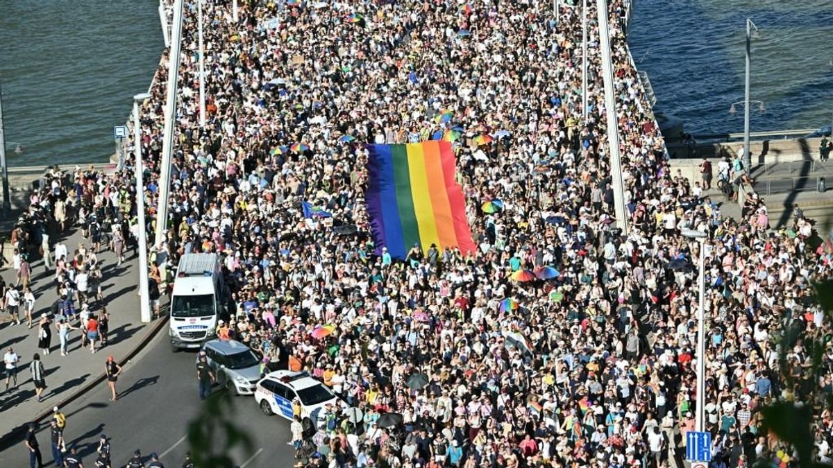 Gyerekek közelében maszturbált egy férfi a Pride-on, elmeorvosi intézetbe vitték