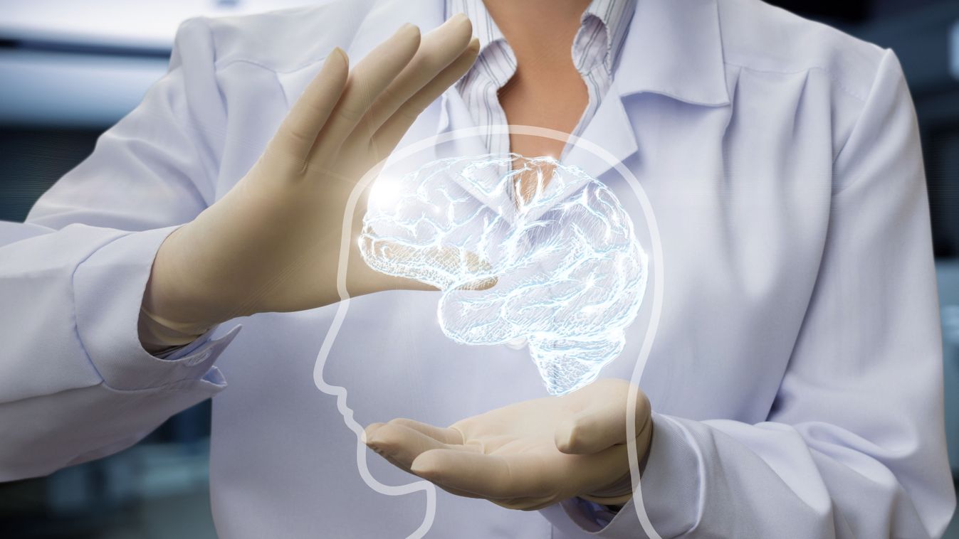 Az Alzheimer-kór kialakulásának okait vizsgálják szegedi kutatók