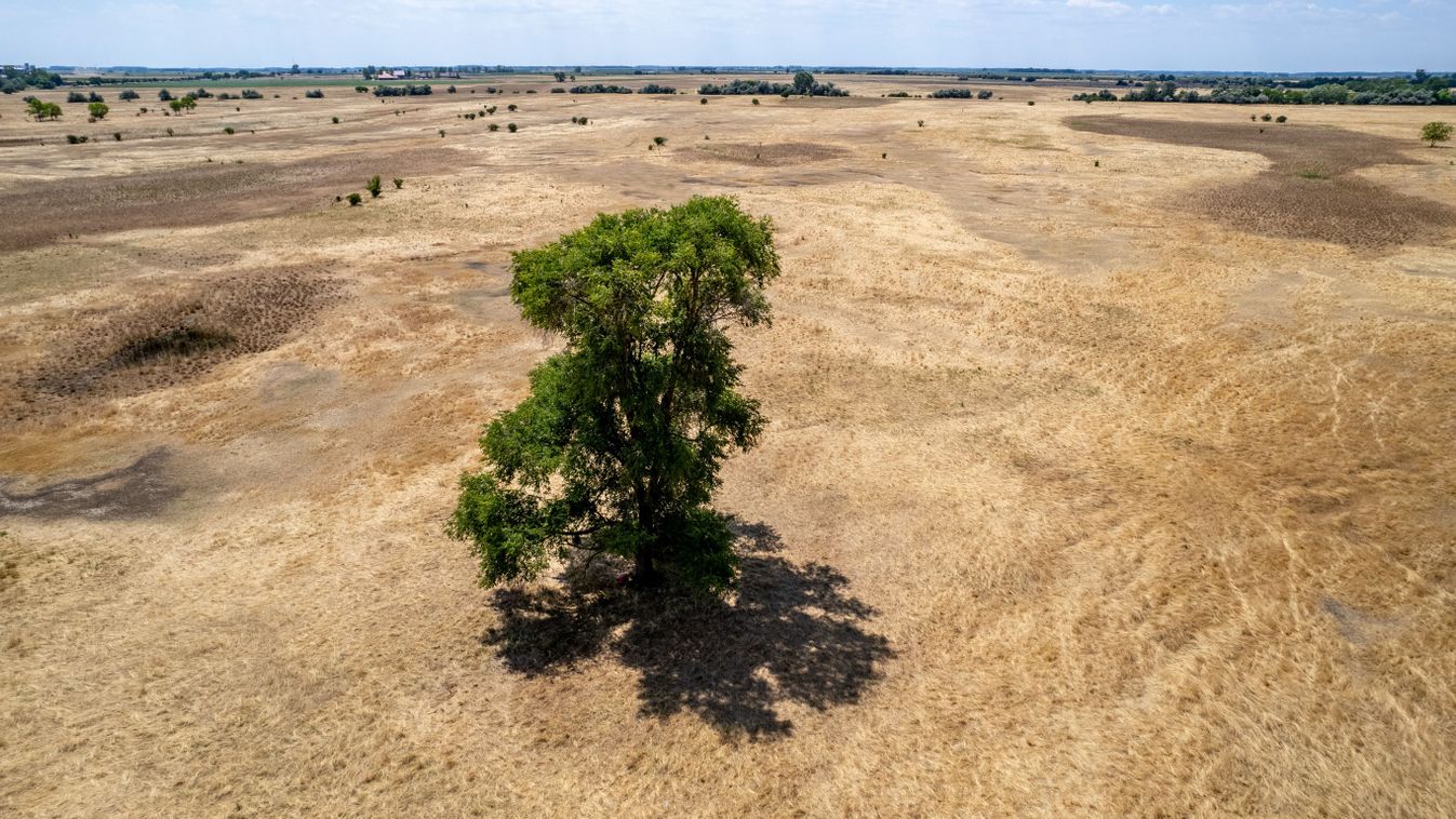 szárazság, Európa