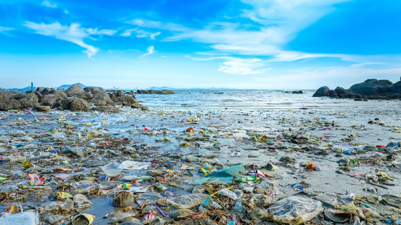 Trash,,Plastic,Cups,And,Plastic,Bags,At,The,Beach.environmental,Problem, műanyag