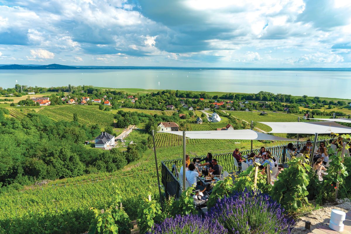 06.07.2018,-,Badacsony,,Hungary,:,Laposa,Vinery,Restaurant,With,Guests