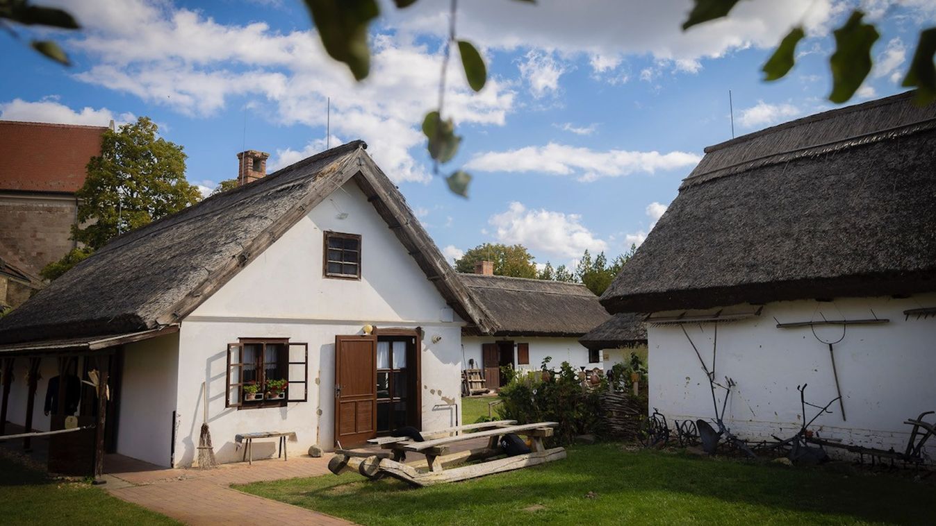 Zöldebb lesz hazánk e szeglete
