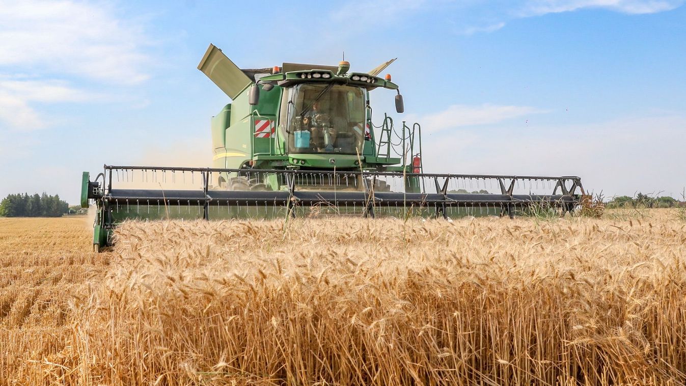 Elfogyott a vetőmag