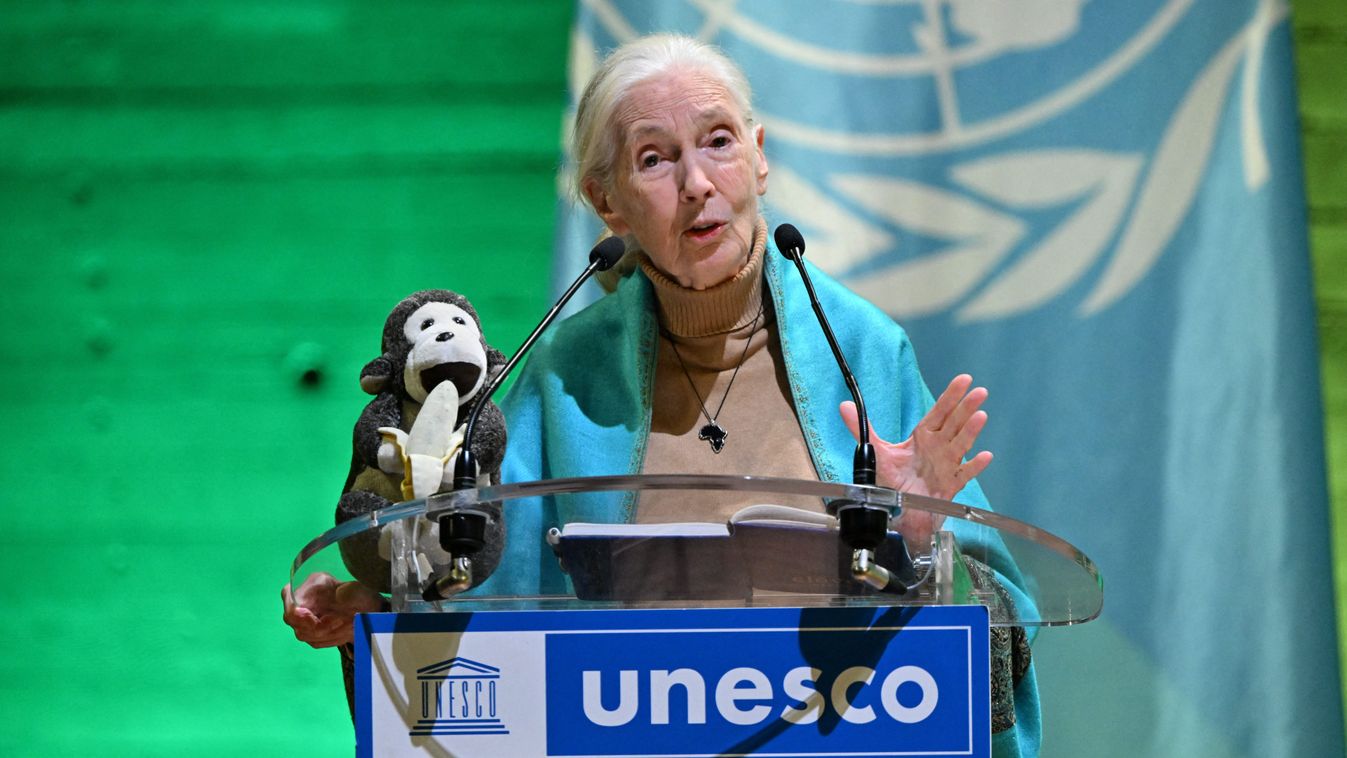 Meghalt Jane Goodall