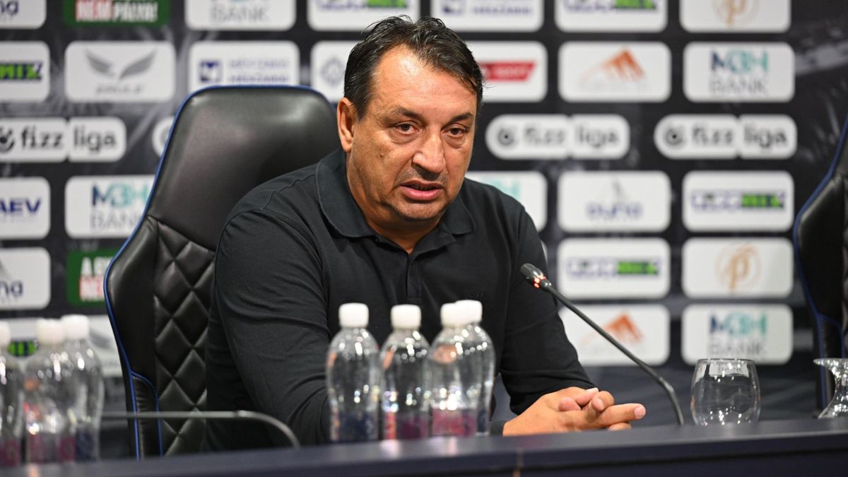 Hornyák Zsolt, Puskás Akadémia, Magyarország, Örményország