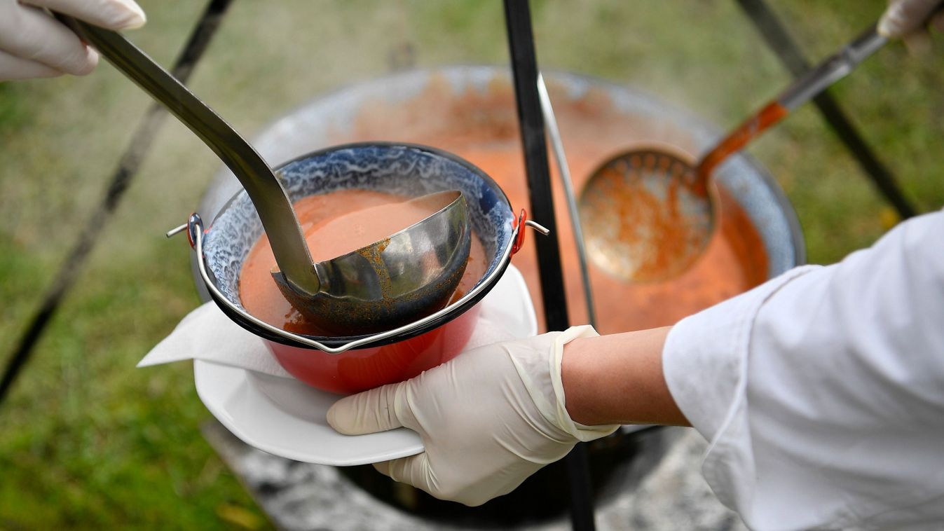 Tizenkettedik alkalommal rendezik meg a siófoki halfesztivált