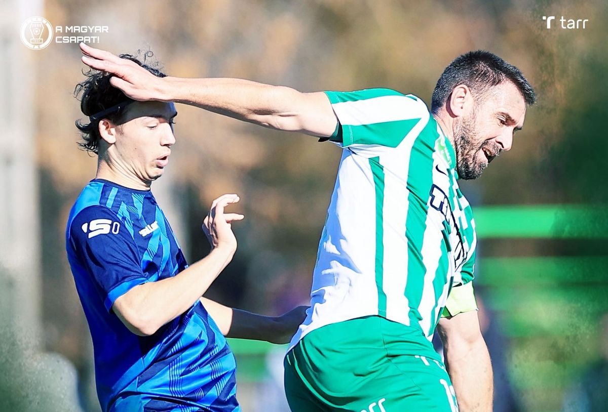 Böde Dániel, Magyar Kupa