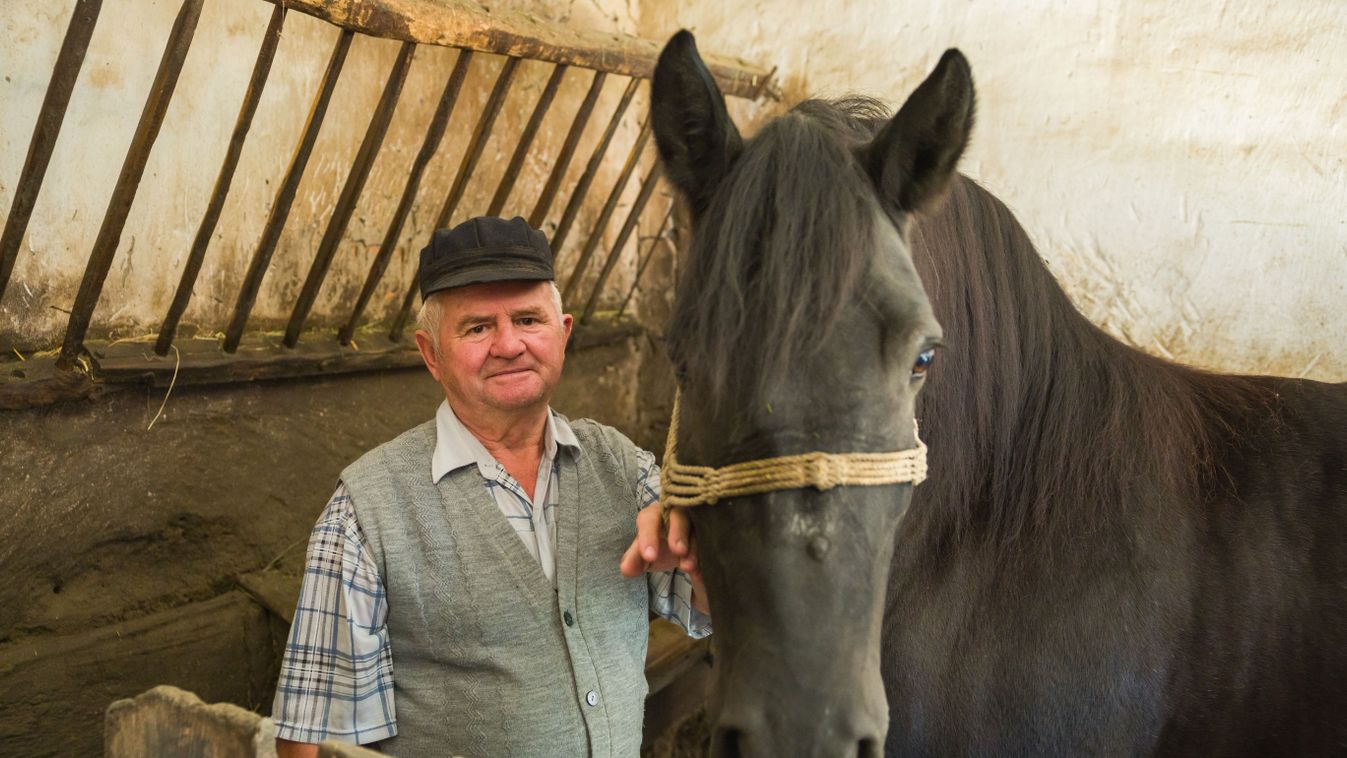 Előbb ló, aztán gazdaság