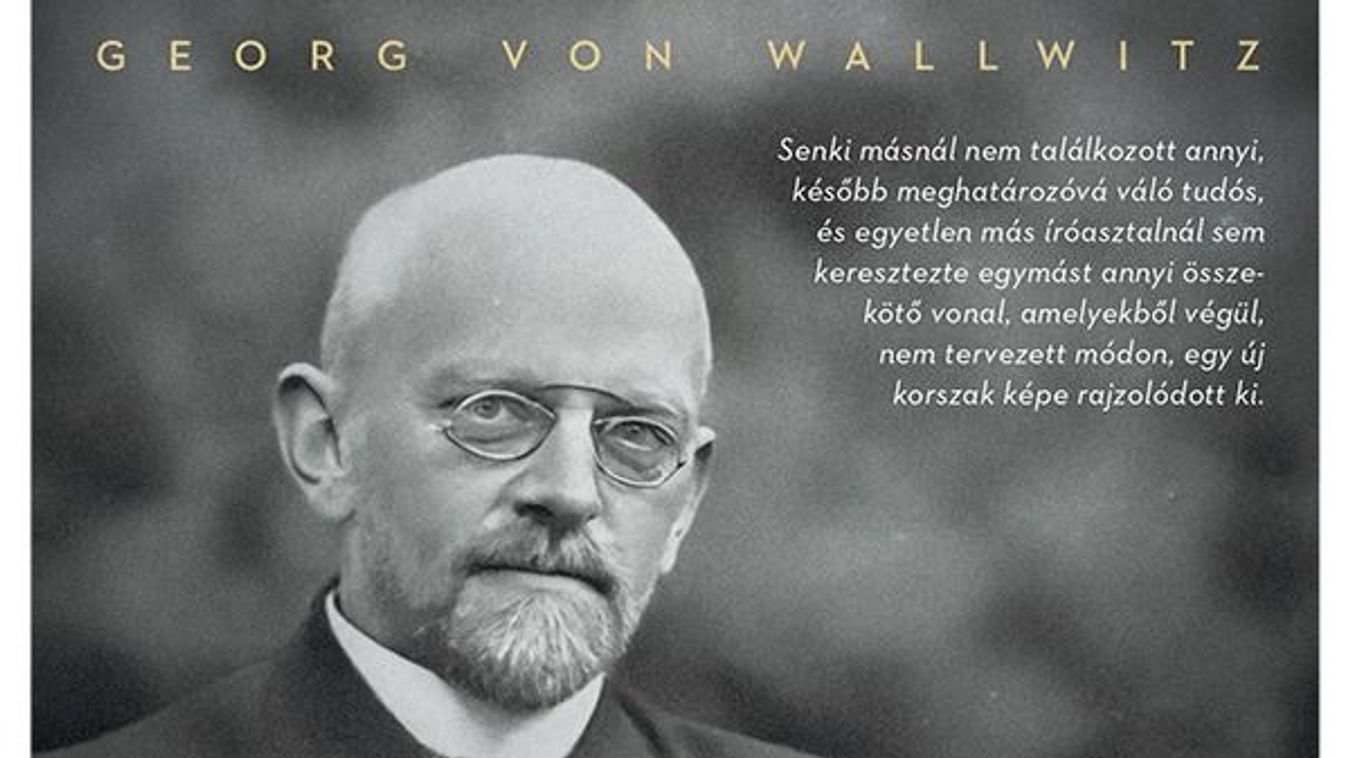 Zsenik között szürke eminenciás