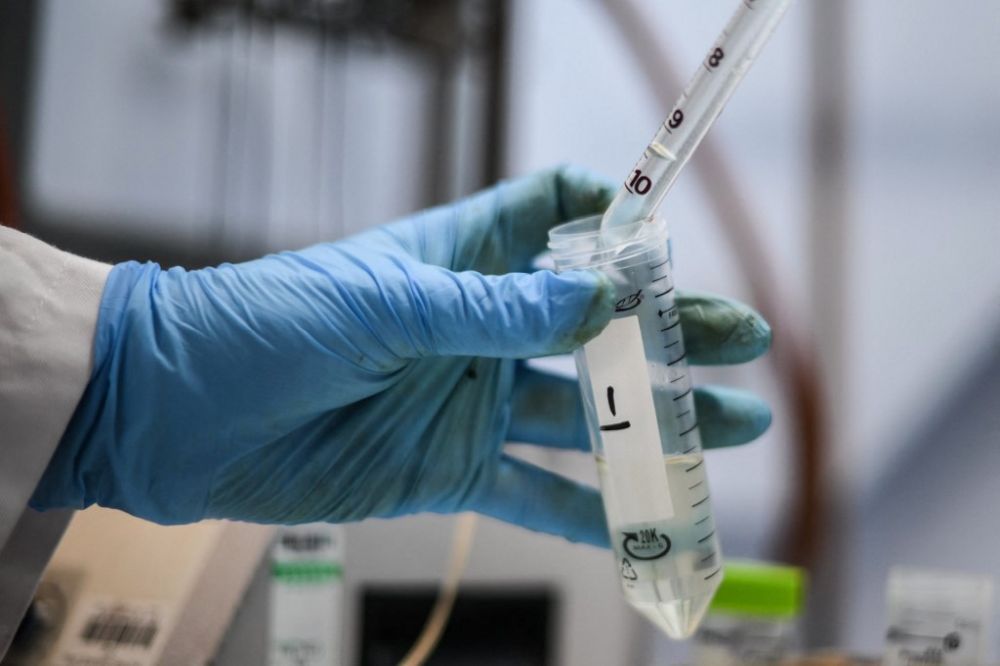 Rákgyógyszer, ami minden daganatot eltüntetett – magyar kutatók áttörése