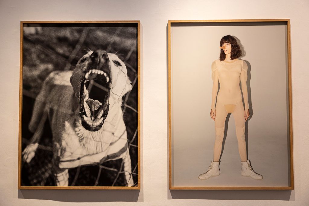 20251019 Budapest Tombor Zoltán Lost and found című kiállítása Capa központban fotó: Kállai Márton