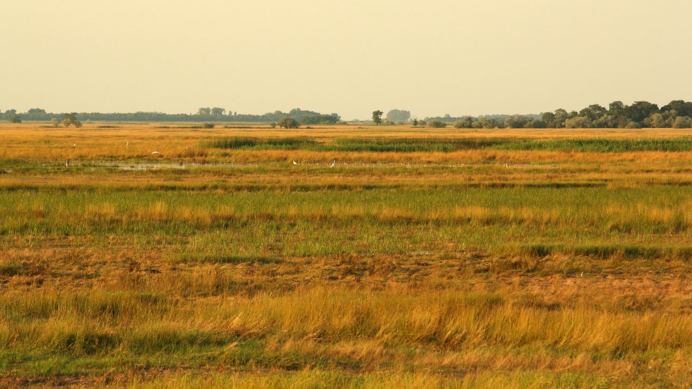 Agrometeorológia: továbbra is kritikusan száraz a talaj az Alföldön