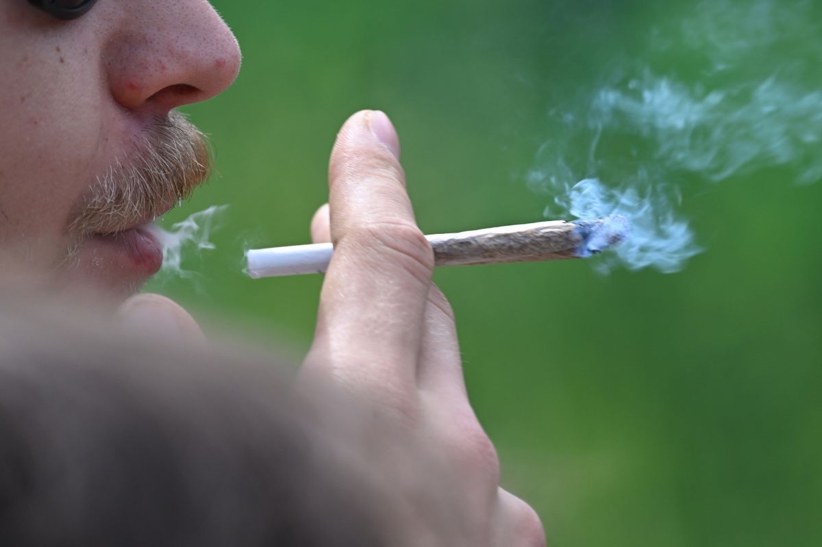 A német marihuána-legalizáció nem hozott rendet: nő a fogyasztás, terjed a feketepiac, a szakértők szerint káosz alakult ki.