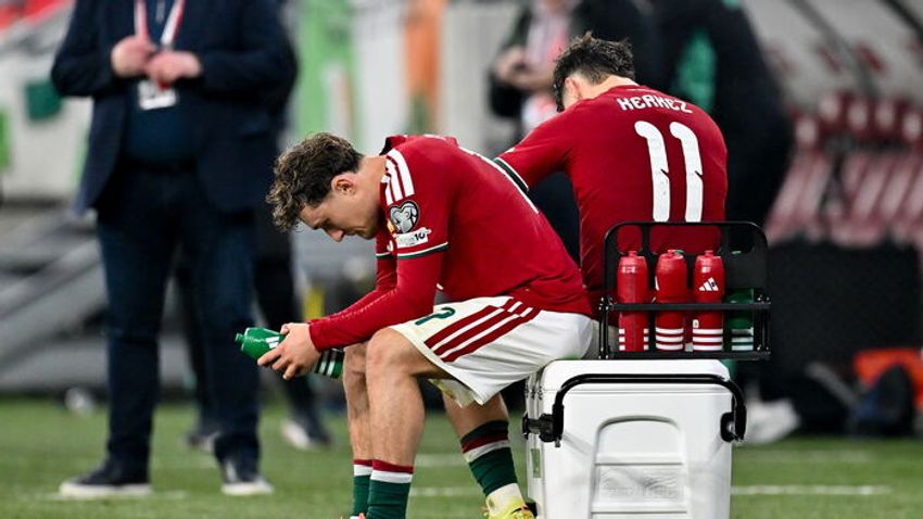 Mennyből a pokolba, avagy egy széttört álom képei: a magyar válogatott drámája a könnyeken át