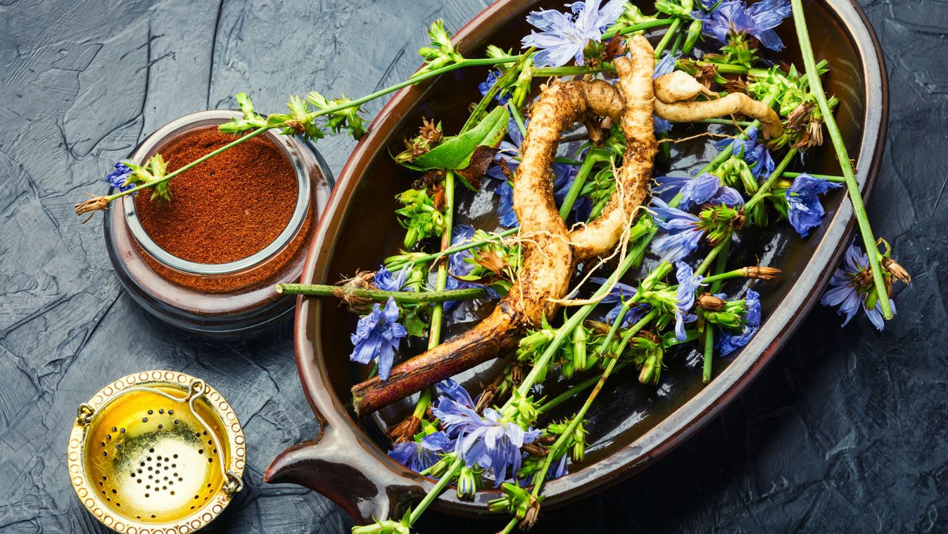 Kék virágú jótevő